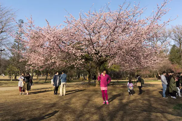 Chris at Inokashira Onshi park